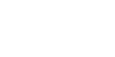 Steiner Consulting Brandbuilding Logo